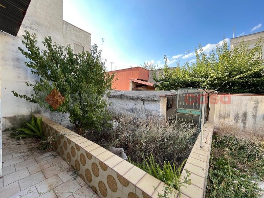 immagine annuncio 12 di 14