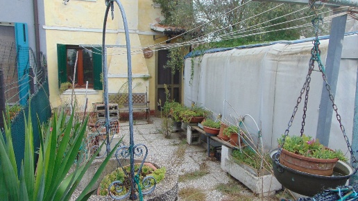 immagine annuncio 1 di 12