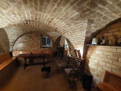 immagine annuncio 6 di 13