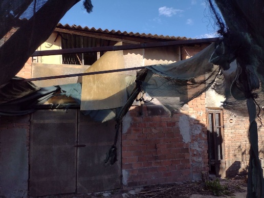 immagine annuncio 1 di 2