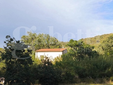Foto Casa indipendente in banchella, Scarlino di 107 m² con 6 locali
