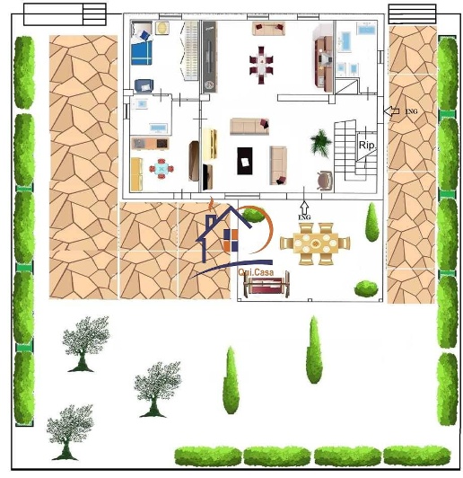 immagine annuncio 7 di 11