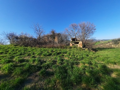Foto Casa indipendente in cantina Cocci Grifoni, Ripatransone Centro