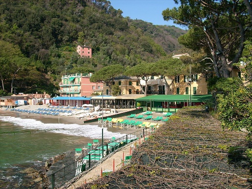 immagine annuncio 3 di 14
