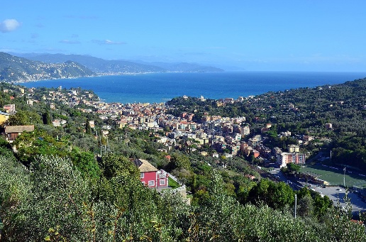 immagine annuncio 4 di 14