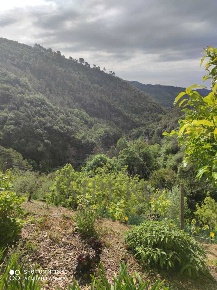 Foto Casa indipendente in strada provinciale, Dolceacqua di 180 m²