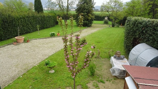 Foto Casa indipendente in Via Fornello, Campi Bisenzio Il Rosi, Limite