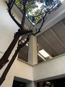 Foto Casa indipendente in sarzana, Sarzana Centro di 80 m² con 4 locali
