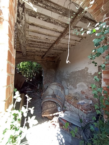 immagine annuncio 3 di 7