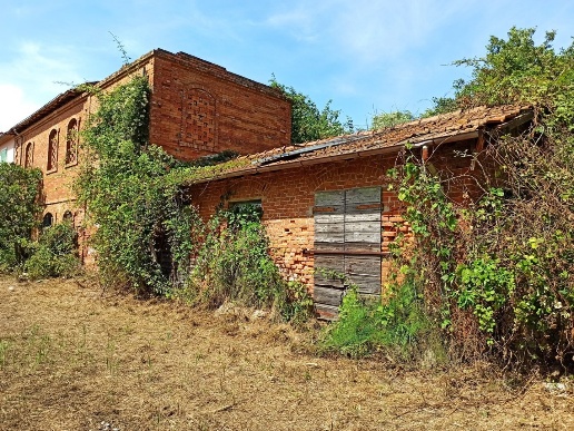 immagine annuncio 6 di 7