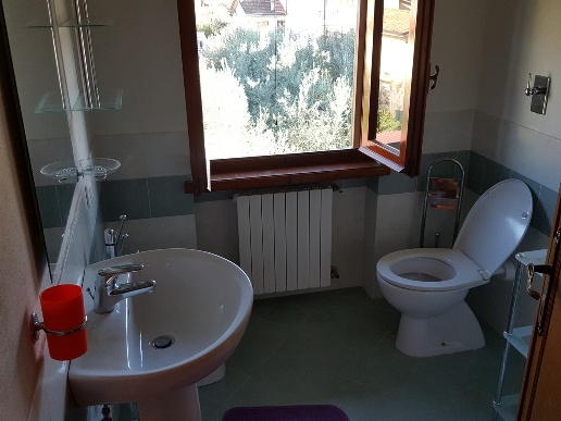 immagine annuncio 6 di 14