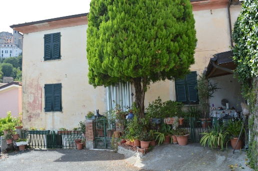 immagine annuncio 10 di 12