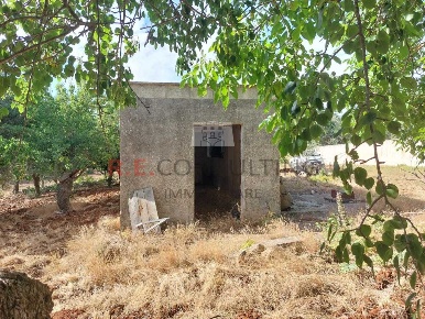 Foto Casa indipendente in strada sacramento, Ceglie Messapica di 30 m²
