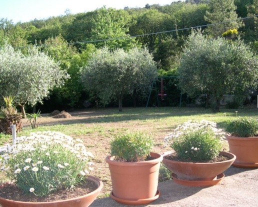 immagine annuncio 2 di 12