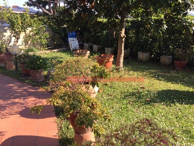 Foto Casa indipendente in via numa campi, Livorno di 240 m² con 5 locali