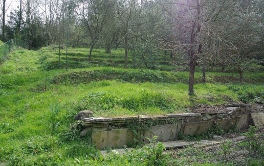 immagine annuncio 12 di 15