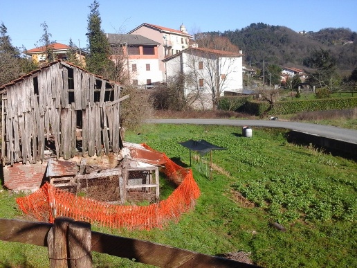 immagine annuncio 4 di 9