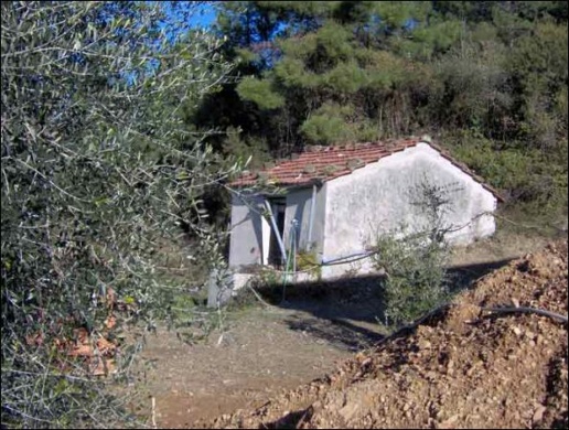 immagine annuncio 5 di 8