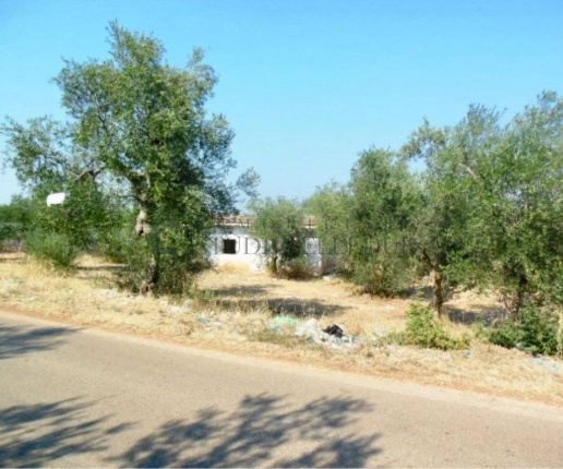 immagine annuncio 1 di 7