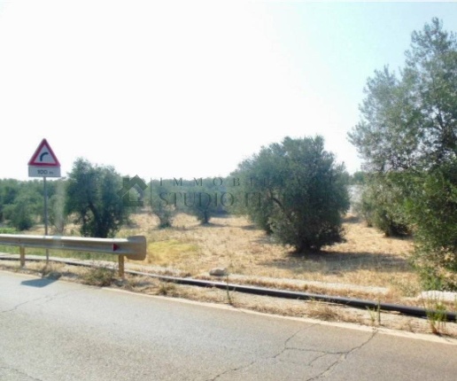 immagine annuncio 4 di 7