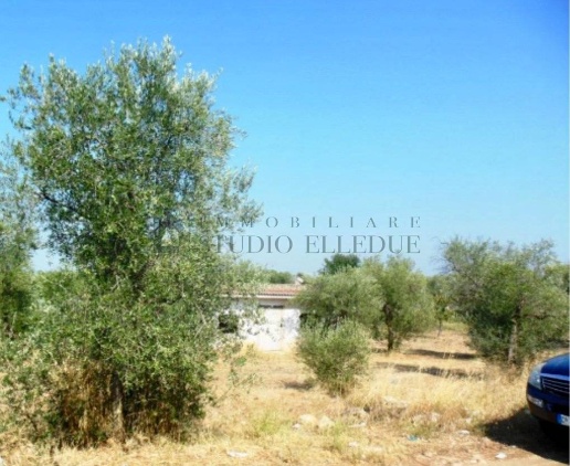 immagine annuncio 5 di 7