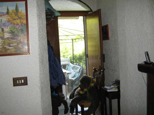 immagine annuncio 8 di 11
