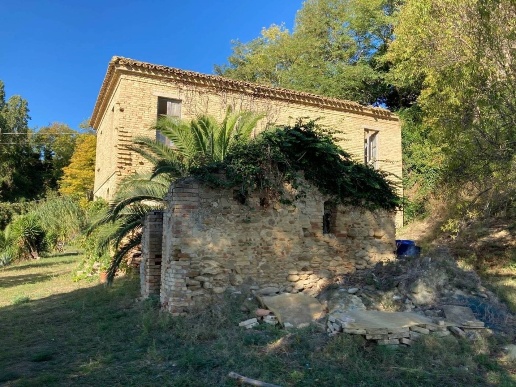 immagine annuncio 6 di 7