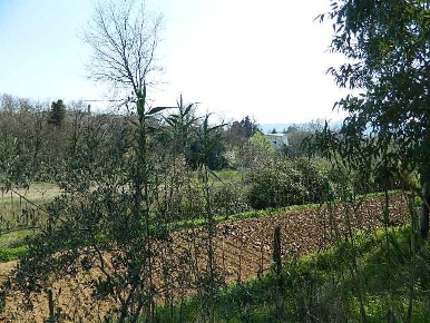 Foto Casa indipendente a Sarzana di 380 m² con 15 locali in vendita