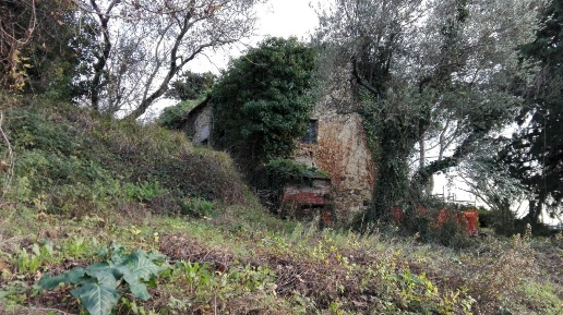 immagine annuncio 1 di 3