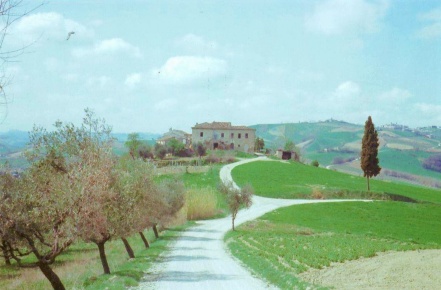 Foto Casa indipendente a Offida di 1500 m² con 30 locali in vendita