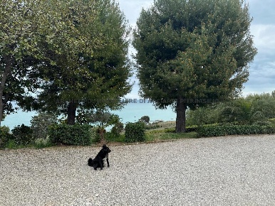 Foto Casa indipendente a Massignano di 380 m² con 13 locali in vendita