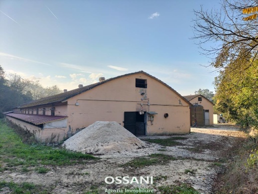 immagine annuncio 7 di 14