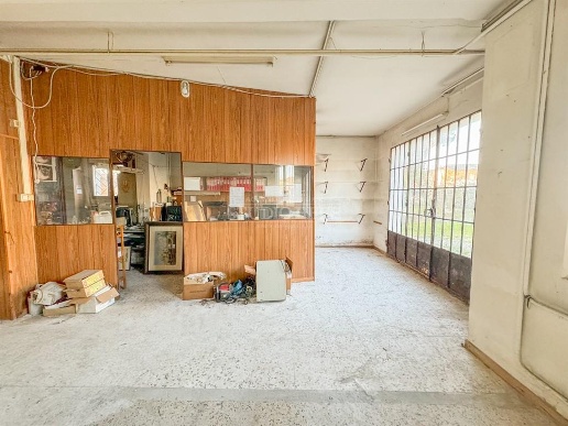 immagine annuncio 4 di 6