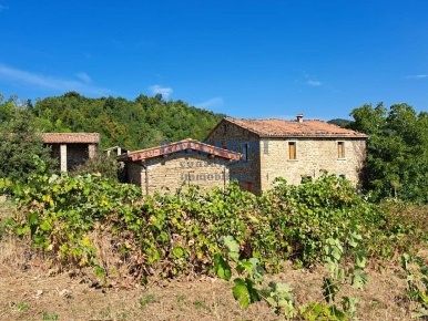 Foto Casa indipendente a Casola Valsenio di 368 m² con 10 locali in vendita