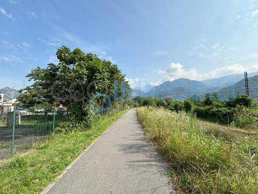 immagine annuncio 2 di 14