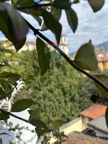 Foto Appartamento a Brescia Loggia - Garibaldi di 160 m² con 4 locali