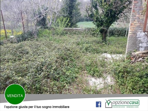 immagine annuncio 5 di 6