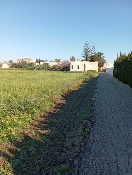 immagine annuncio 11 di 12