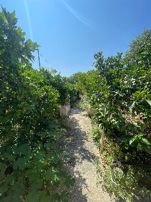 Foto Casa indipendente a Marsala Centro Urbano di 90 m² con 3 locali