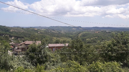 immagine annuncio 13 di 14