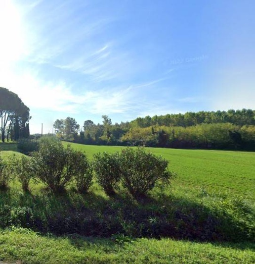 immagine annuncio 2 di 14