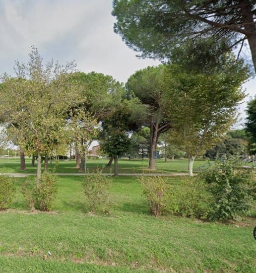 immagine annuncio 11 di 14