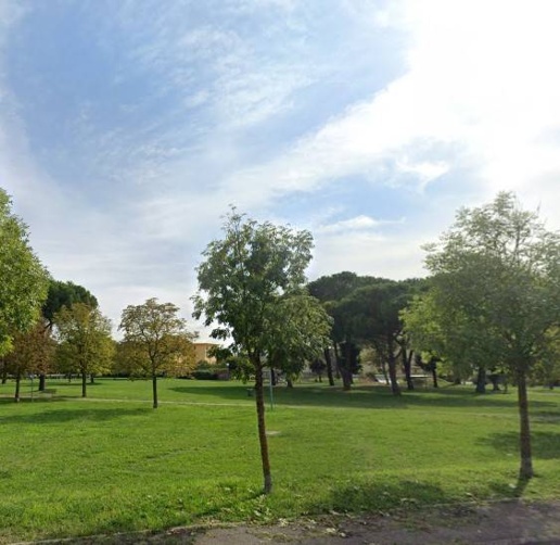 immagine annuncio 12 di 14