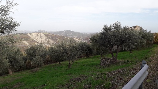 immagine annuncio 3 di 11