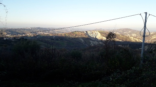 immagine annuncio 5 di 11