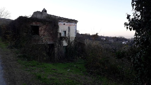 immagine annuncio 6 di 11