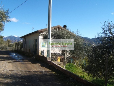 Foto Casa indipendente in Localita' Alpicella Loc, Perinaldo di 80 m²