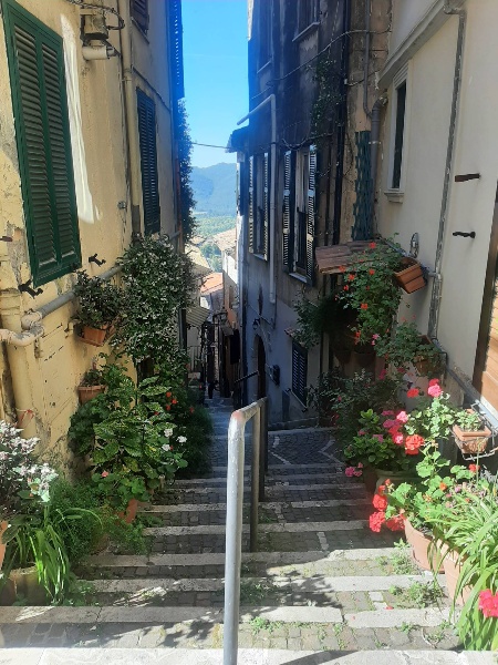 immagine annuncio 10 di 11