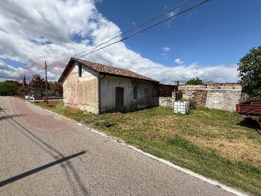 immagine annuncio 1 di 11