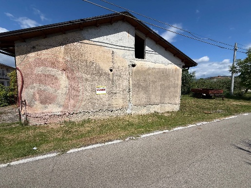 immagine annuncio 5 di 11